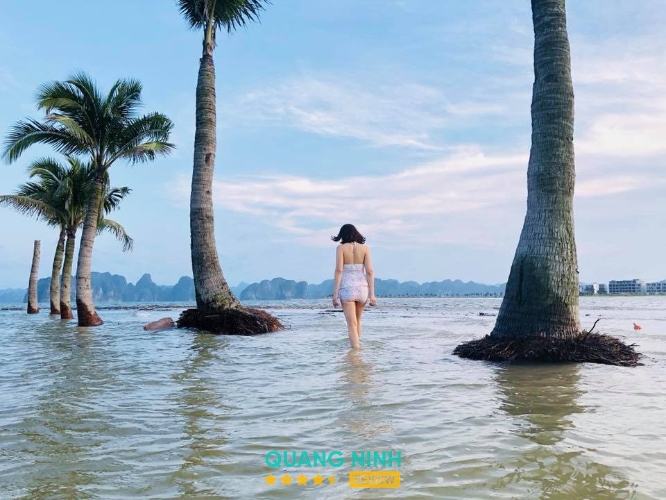 Du lịch Quảng Ninh Bãi Cháy