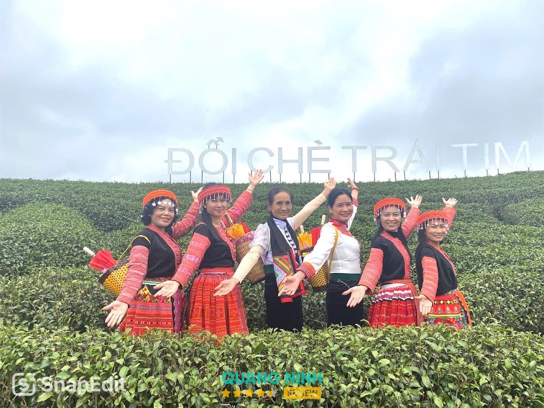Công ty Du lịch Hạ Long Tourist Hạ Long