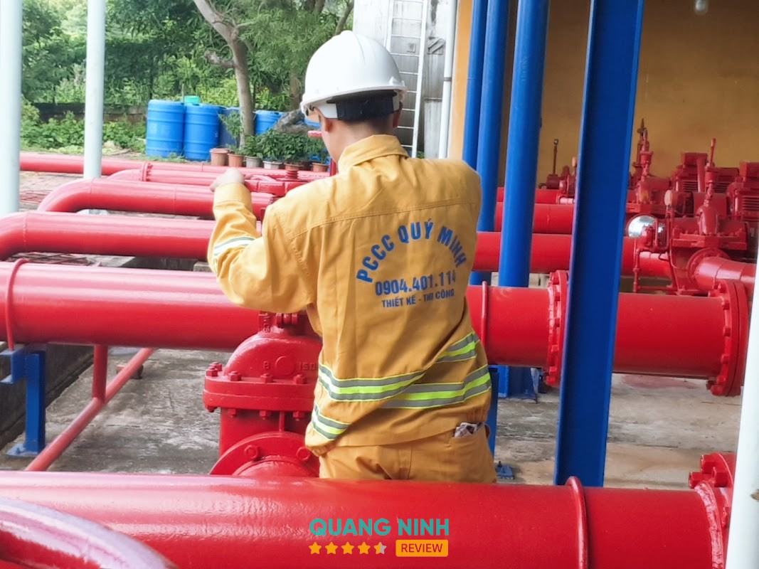 Quý Minh – hình ảnh 3