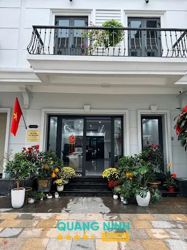 Hoạt động tư vấn tại VisaPath Quảng Ninh