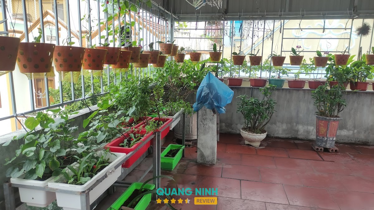 Công ty cổ phần tư vấn quy hoạch thiết kế xây dựng Quảng Ninh Hạ Long