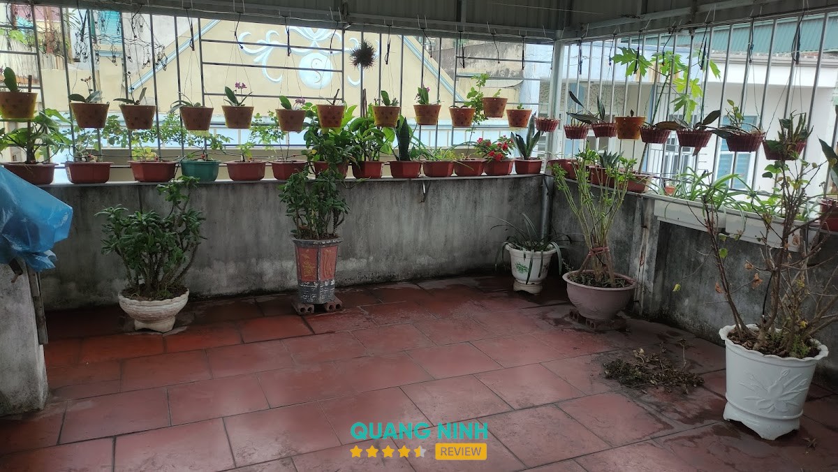 Công ty cổ phần tư vấn quy hoạch thiết kế xây dựng Quảng Ninh – hình ảnh 3