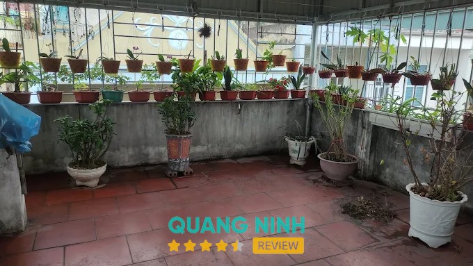 Công ty xây dựng tại Nguyễn Văn Cừ Hạ Long
