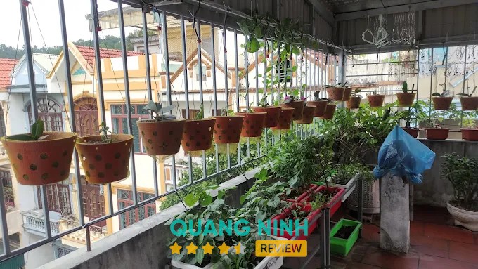 Không gian Công ty Tư vấn Quy hoạch Xây dựng Quảng Ninh