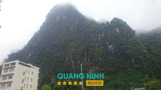 Không gian Công ty Tư vấn Xây dựng Sa Vĩ
