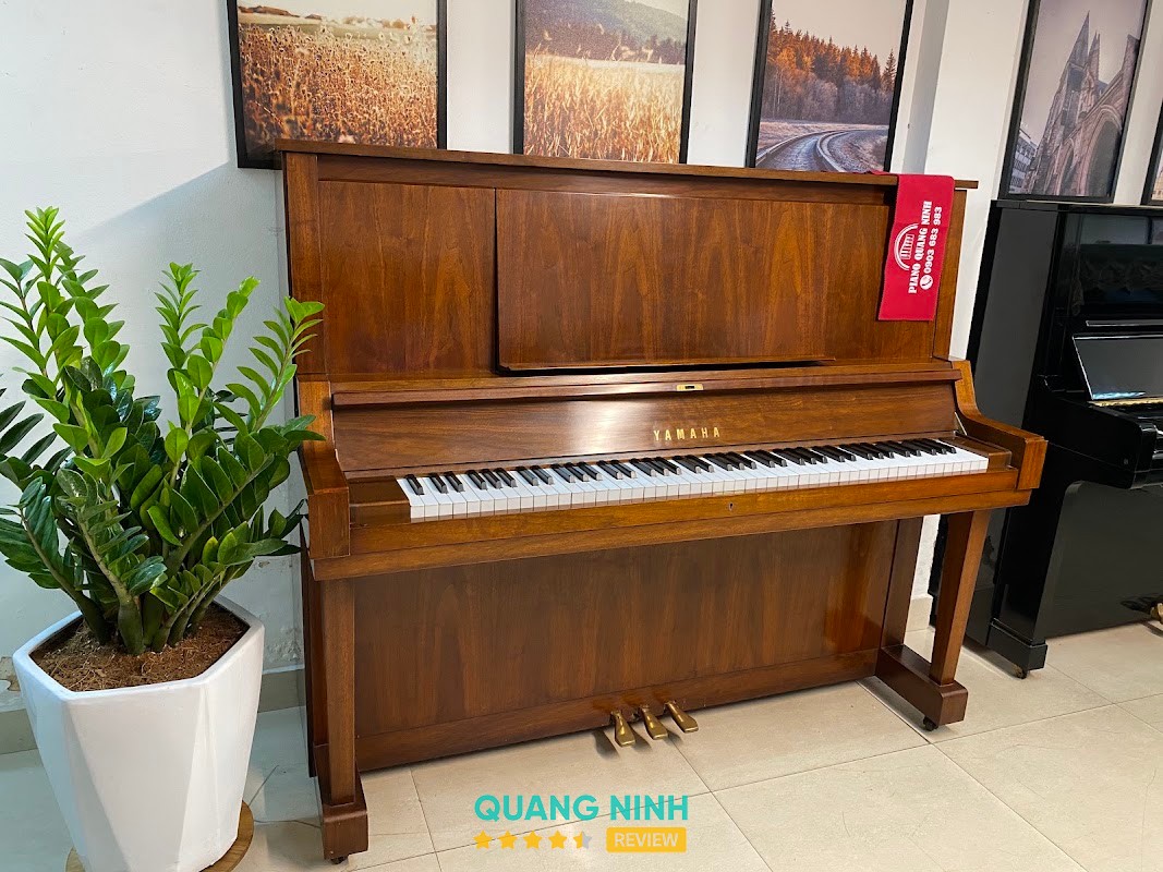 PIANO QUẢNG NINH - TỔNG KHO Quảng Ninh