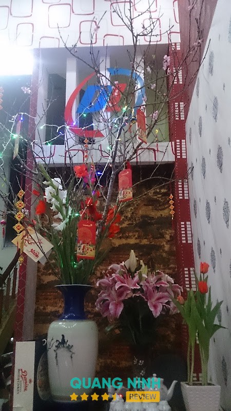 Cửa Hàng Giấy Dán Tường Dương Liễu – hình ảnh 2