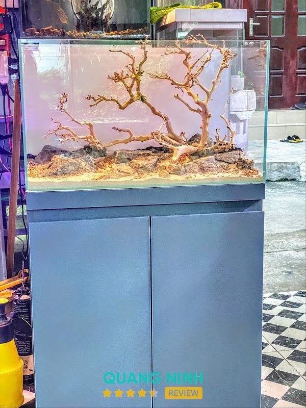 Chung Thủy Sinh – hình ảnh 3