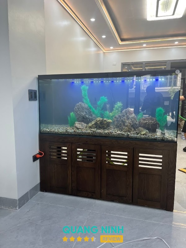 Cá Cảnh Hạ Long "VT" Quảng Ninh