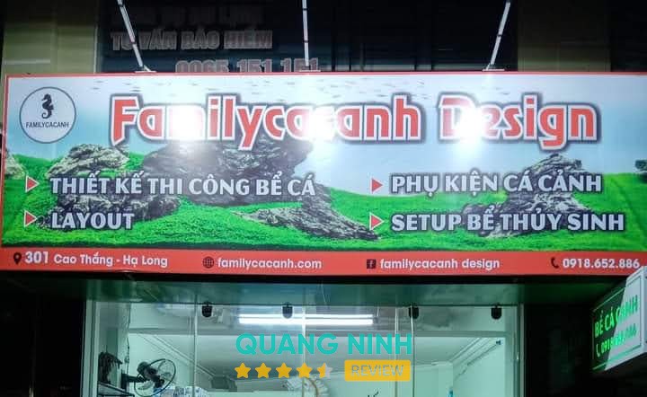 Sơn Cá Cảnh Quảng Ninh