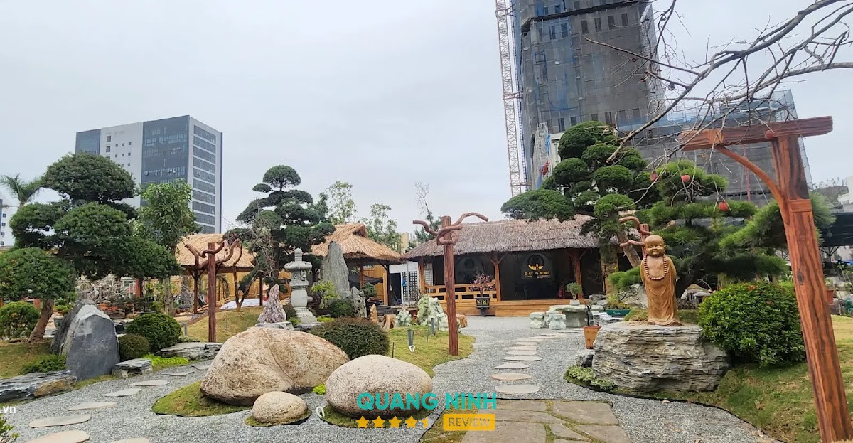 CÂY XANH QUẢNG NINH tại Hạ Long