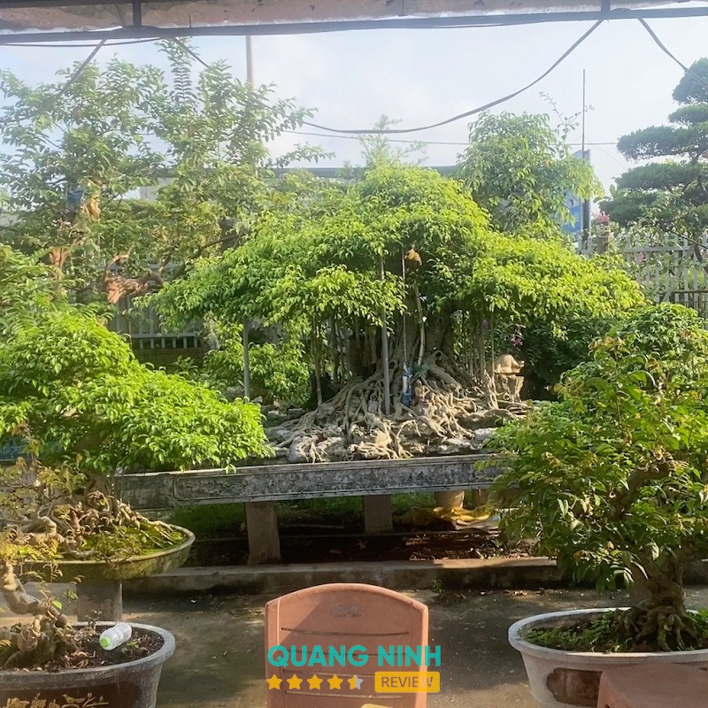 Nhà vườn cây cảnh Hải Yến – hình ảnh 2