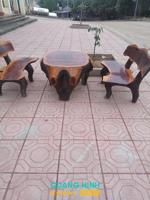 Chậu cây cảnh Thuận Hiệp