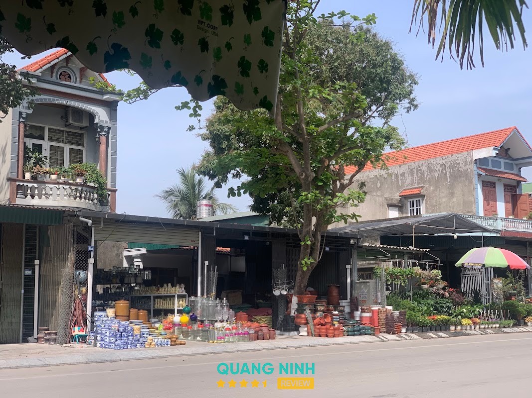 GỐM SỨ ĐÔNG TRIỀU hình ảnh 2