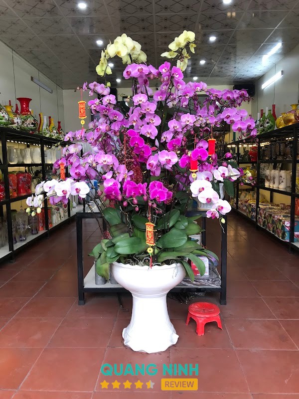 Thanh Thảo Gốm Sứ hình ảnh 3