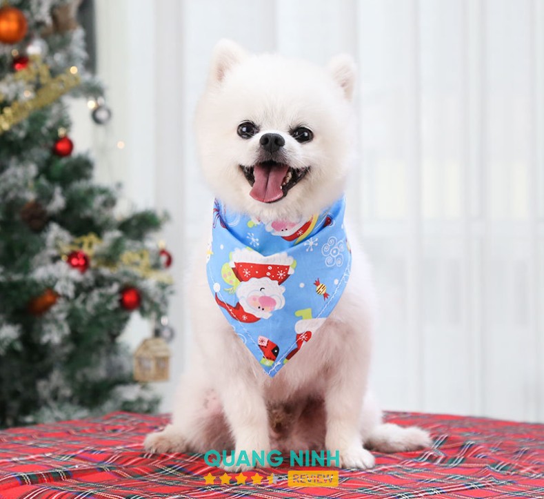 LuBu PetStore – hình ảnh 3