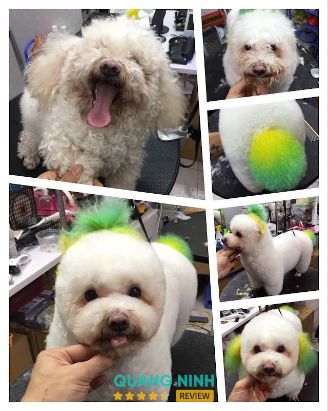 LuBu PetStore - Siêu thị & Spa thú cưng – hình ảnh 2