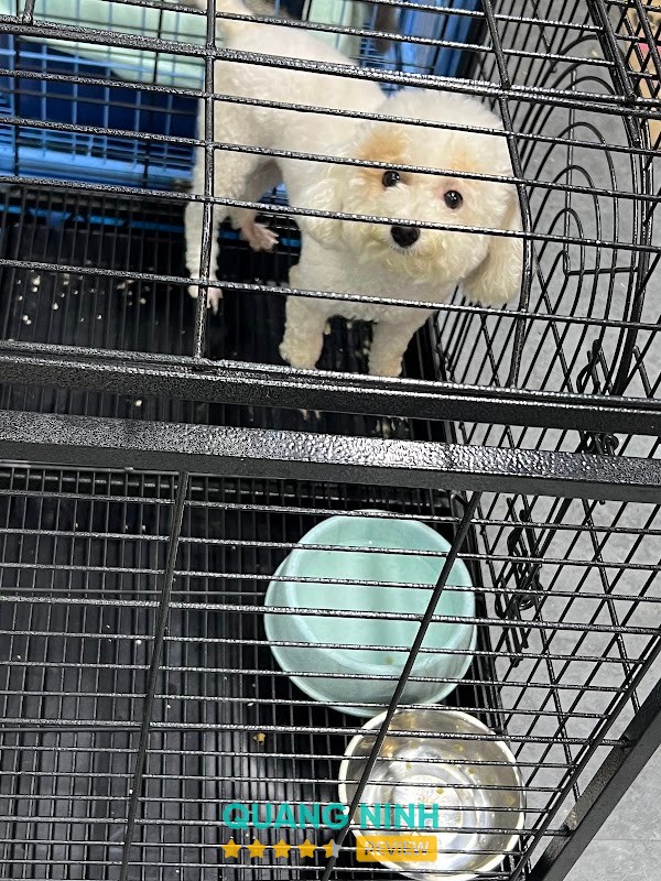 Gâu miu pet shop – hình ảnh 3
