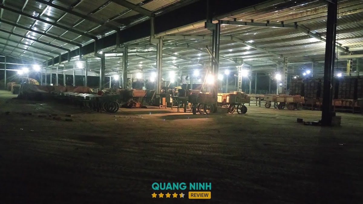 Cty CP Viglacera Ngói Đông Triều