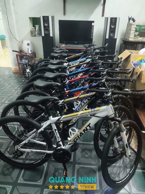 Hạ Long - Mua Bán Trao Đổi Xe đạp Cũ Mới