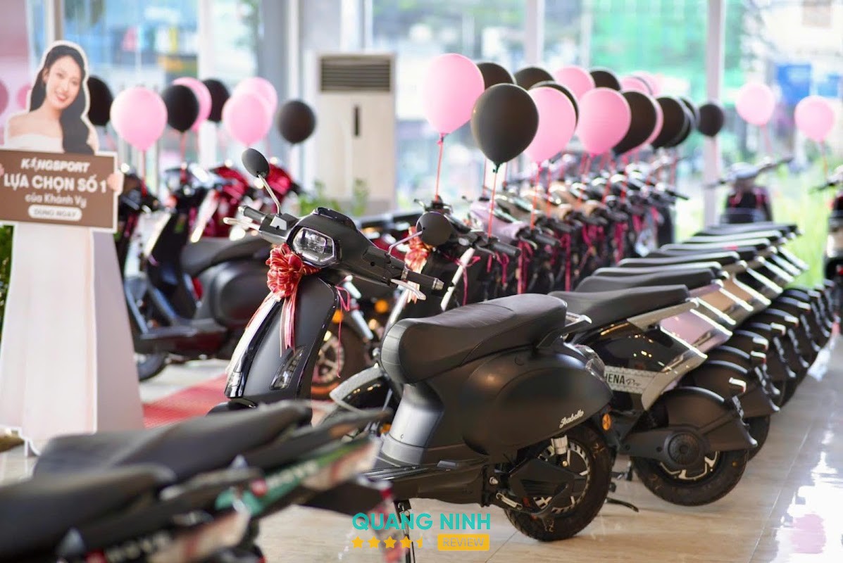 Xe Điện Move Trần Phú – Cẩm Phả – hình ảnh 2