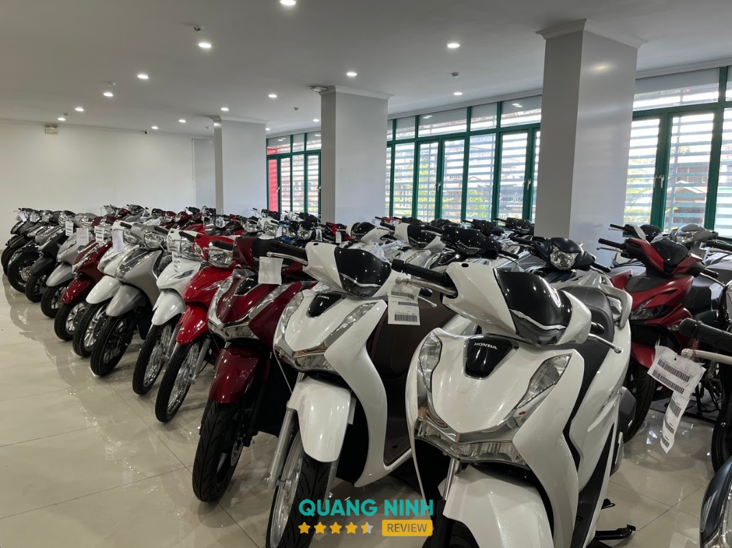 Công Ty Cp Tm Nam Dương – hình ảnh 3