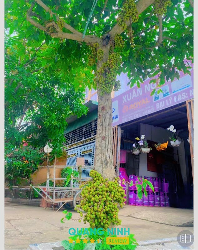 Đại Lý Gas Nam Hải hình ảnh 2