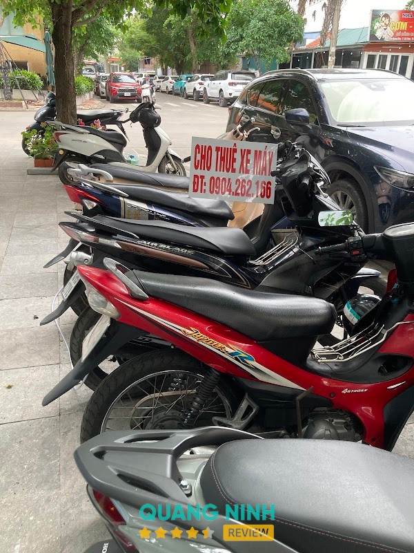 Cho Thuê Xe Máy New Life Bãi Cháy - Thành's Motorbike Rental - hình ảnh 3