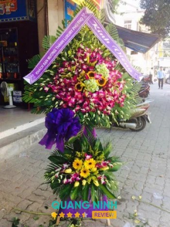 Shop Hoa Tươi Hạnh Thu Móng Cái