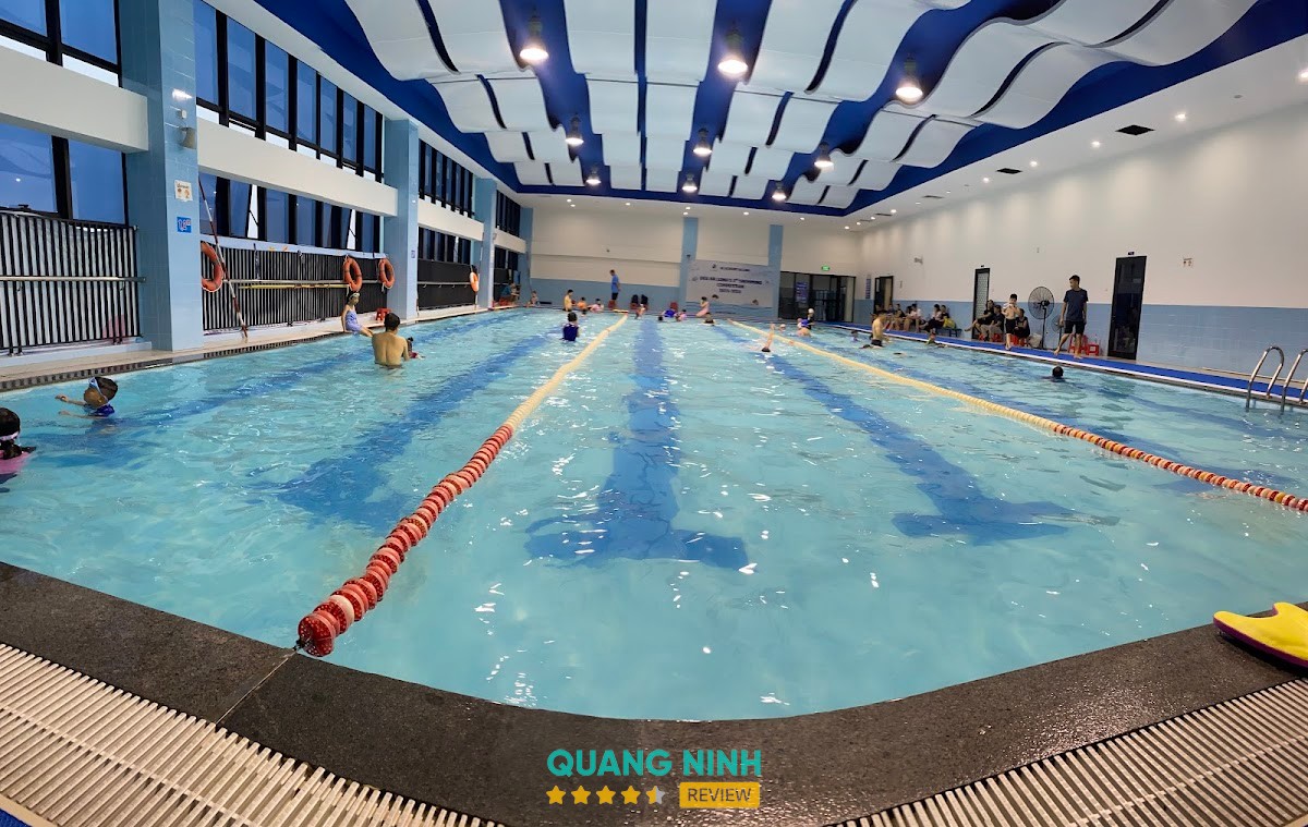Dạy Bơi Hạ Long – hình ảnh 2