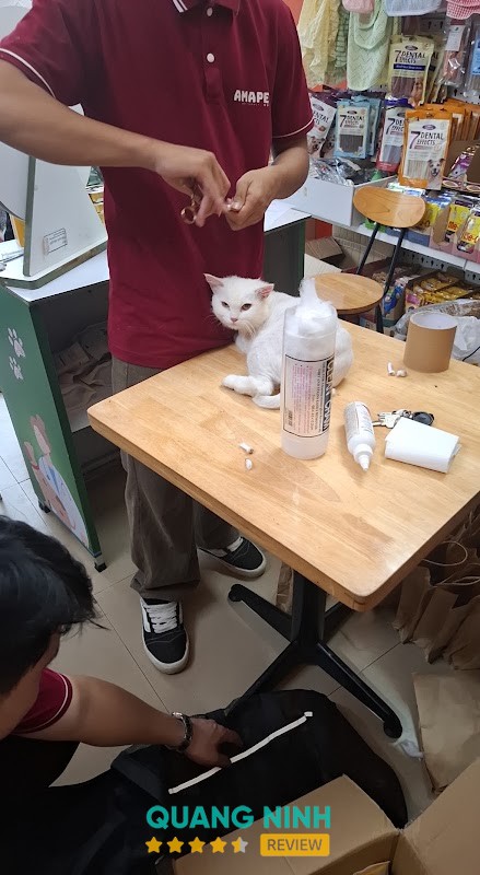 Phòng Khám Thú Y Dino Pet Quảng Ninh