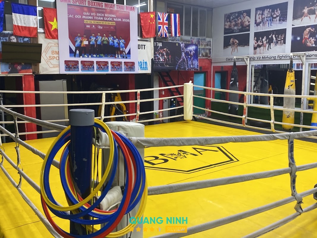 Bma Sport Boxing MuayThai mma Quảng Ninh – hình ảnh 2