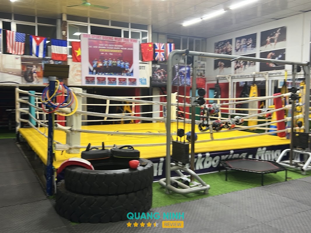 Bma Sport Trung tâm đào tạo Boxing MuayThai Mma – hình ảnh 2