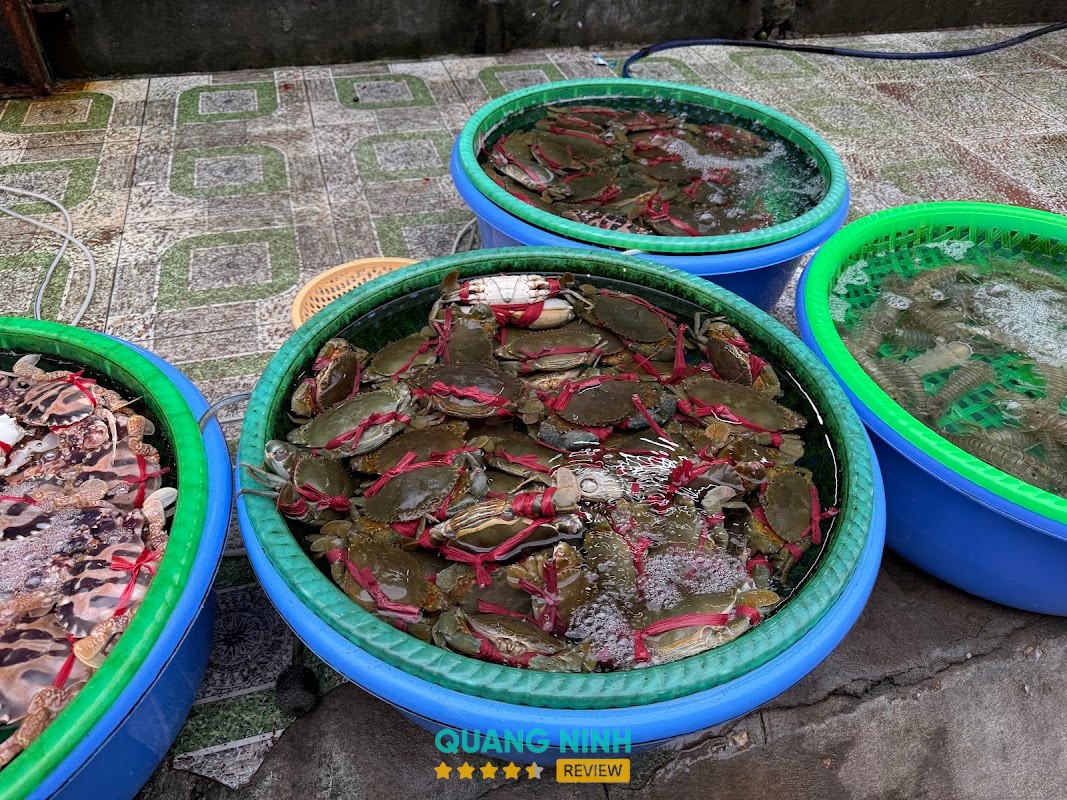 Chợ Hải Sản Cái Dăm – hình ảnh 3