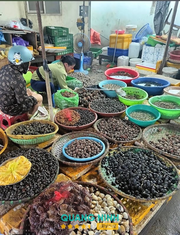 Chợ Rừng Quảng Yên – hình ảnh 3