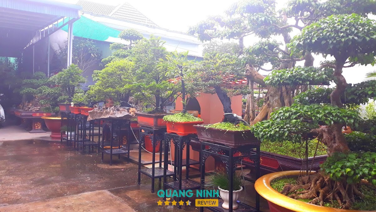 Hải Sản Vân Đồn
