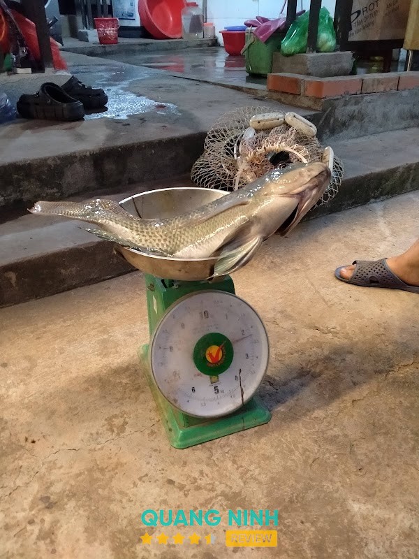 Hải Sản Vân Đồn – hình ảnh 3