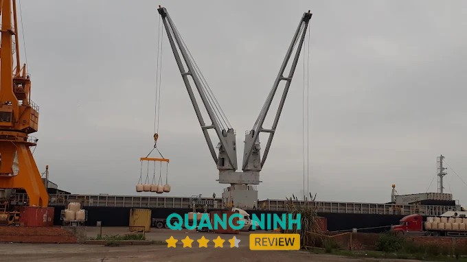 Công ty cổ phần Đầu tư Cảng Cái Lân