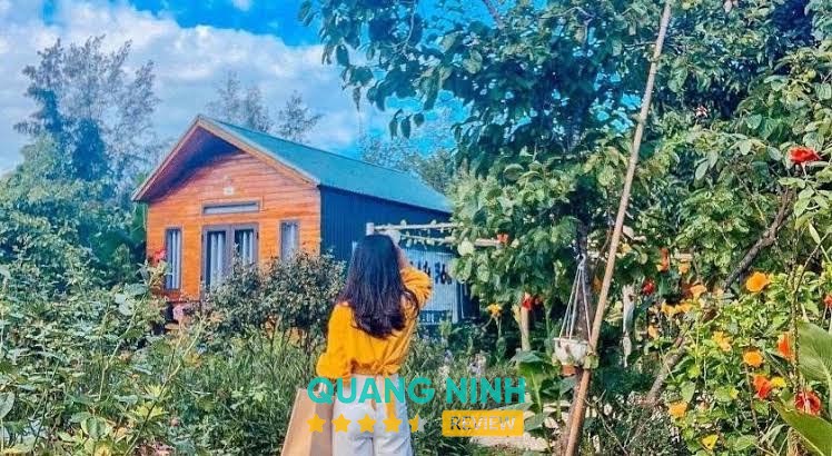 Cô Tô Homestay 368 Hải Tiến