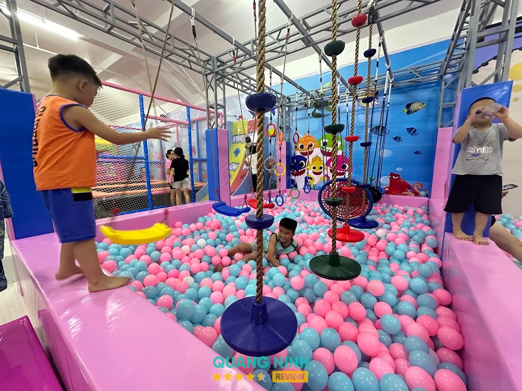Baby Shark Bãi Cháy - hình ảnh 2