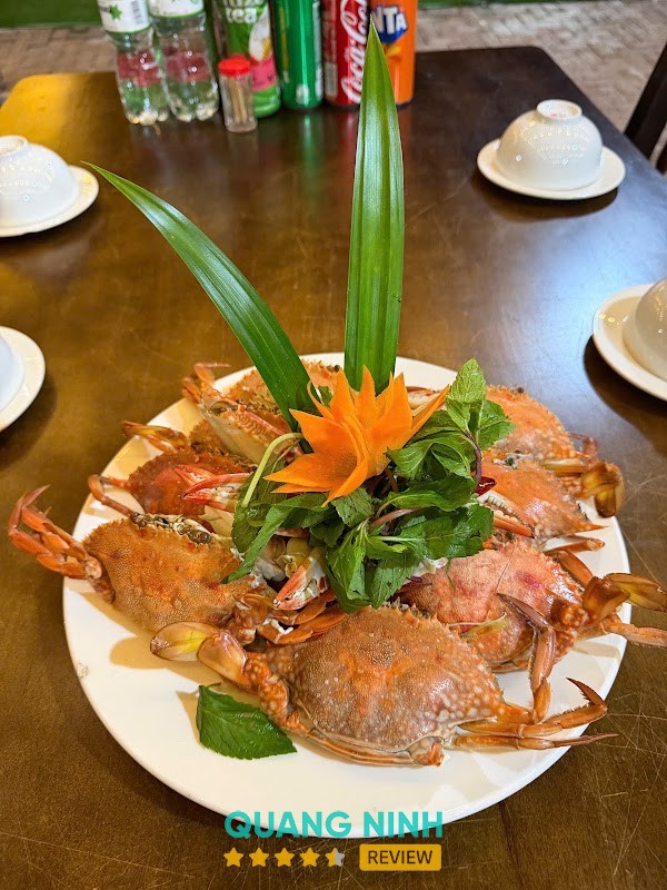 The Vân Đồn – hình ảnh 3