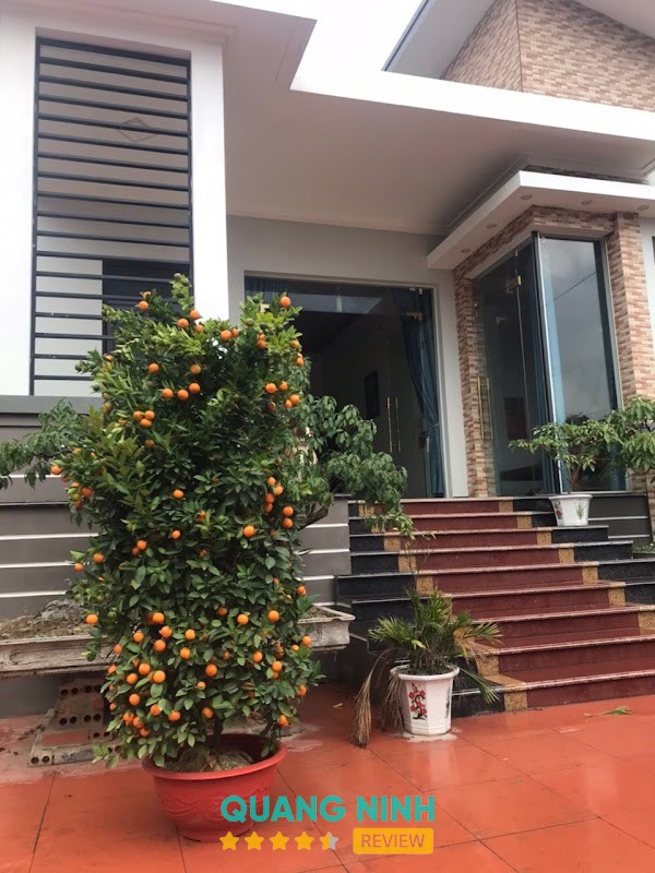 Quầy Thuốc Số 27 – hình ảnh 2