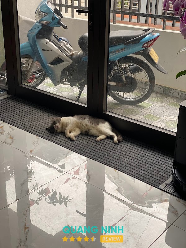 Thú Y Cẩm Phả