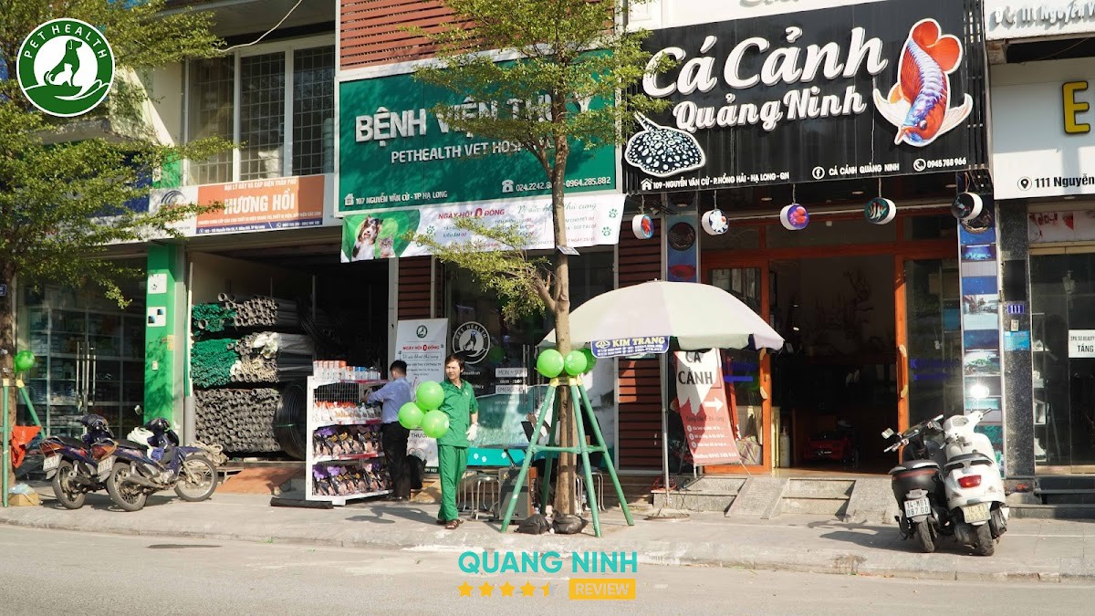 Bệnh viện thú y Pethealth Hạ Long Hạ Long
