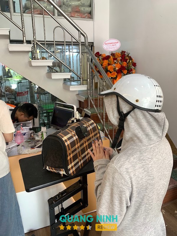 Dino Pet Hạ Long - Phòng Khám Thú Y Hạ Long