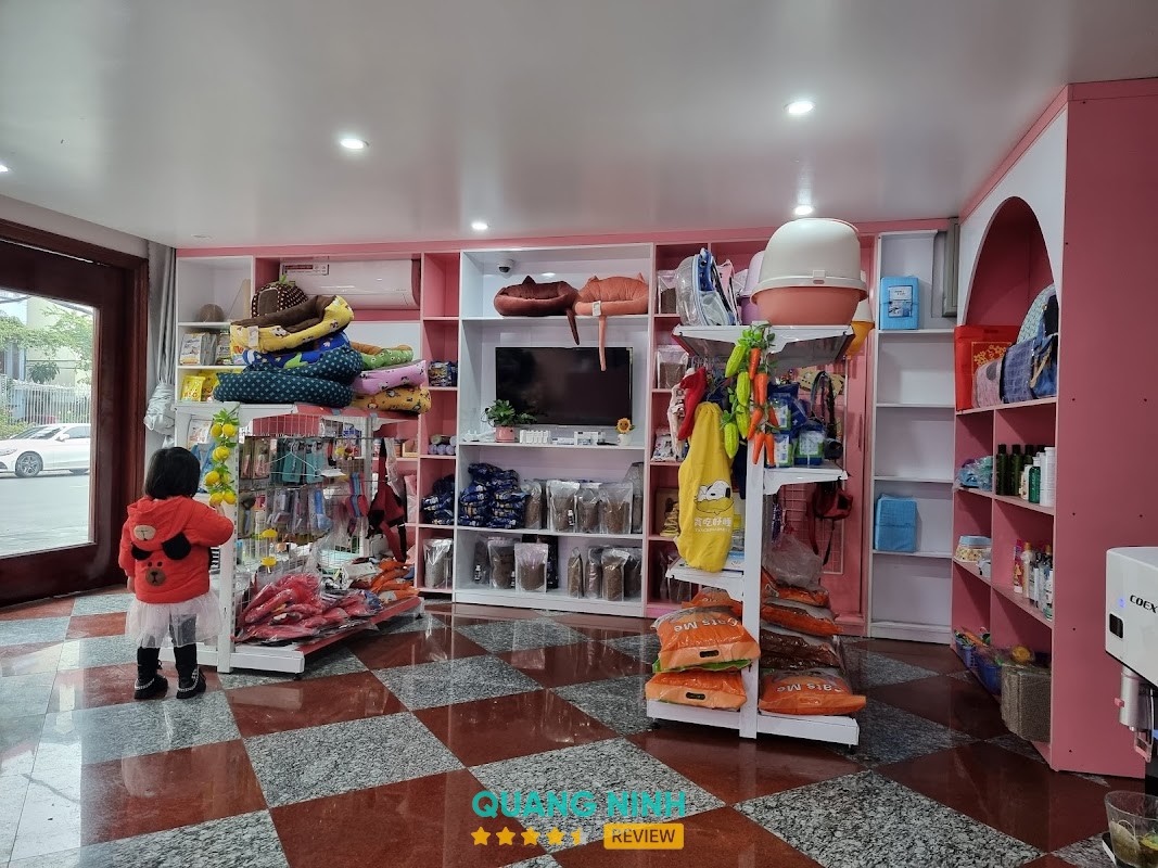 Bệnh Viện Thú Y Vetcenter – hình ảnh 3