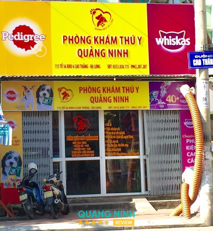PHÒNG KHÁM THÚ Y QUẢNG NINH Hạ Long