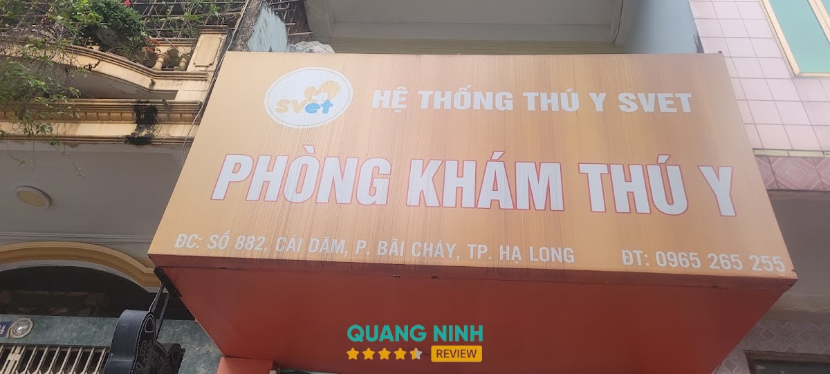 Phòng khám thú y SVET Hạ Long