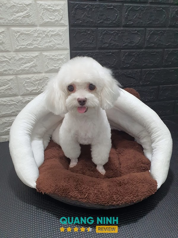 Phòng khám thú y Hpet Hạ Long