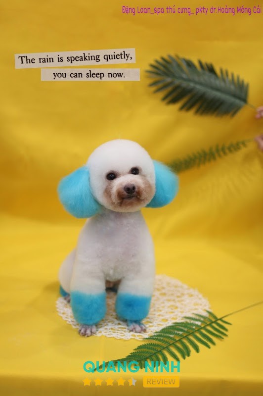 Phòng khám Thú Y Dr Hoàng - Pet shop – hình ảnh 3